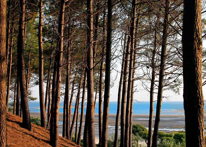 - D'automne: Agreable T3 Pour 4 Avec Balcon, Parking Et Proche - Fr-1-420-30 דירה *